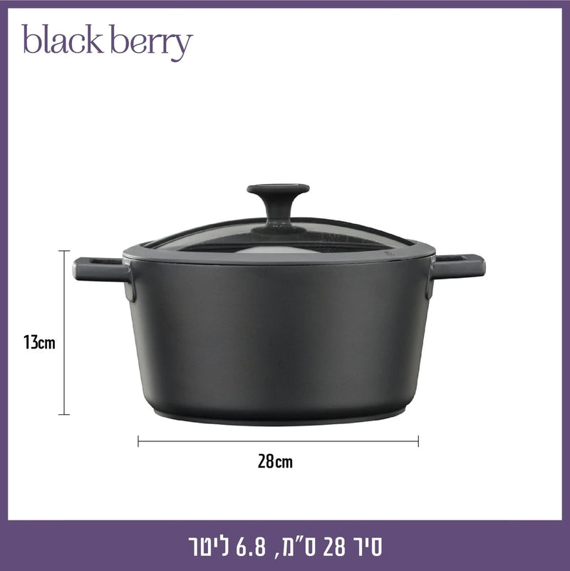 סיר 28 ס"מ, 6.8 ליטר BLACKBERRY אפור כהה